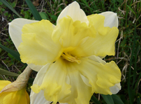 P1030447.webp