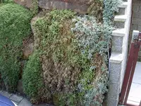 Bild 001.webp