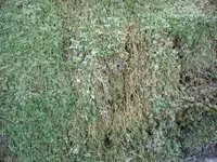 Bild 003.webp