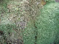 Bild 004.webp