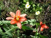 06.webp