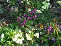 08.webp