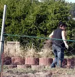 Gartenjahr 2009 Lilli 026.webp