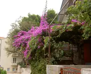 6.webp