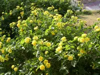 PICT0044.webp