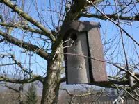 Dachgarten März 09 002.webp