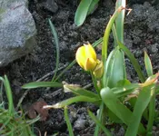SA500268.JPG