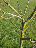 Neues Bild.webp