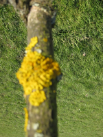 detail.webp