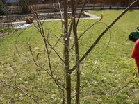 drahtdeko7.webp