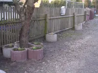Garten 033.webp