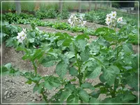 comp_DSCI0649.webp