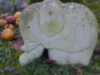 28.01.2009 011.webp