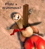 pfahl.webp