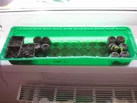 Mini Gewächshaus1.webp