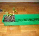 Mini Gewächshaus2.webp