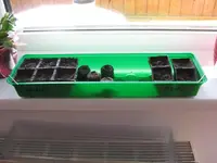 Mini Gewächshaus3.webp