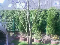 Foto(031).webp