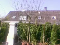 Foto(032).webp