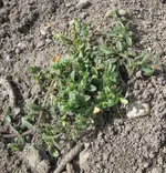 Bild 082.webp