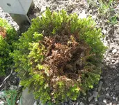 Bild 088.webp