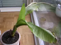 DSCN4325.webp