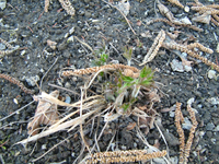 IMG_1451.webp