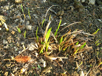 IMG_1454.webp