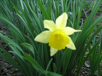 IMG_1438.webp