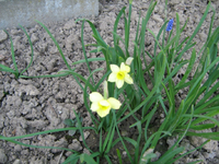 IMG_1445.webp