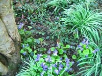 IMG_1449.webp