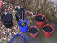 Garten 041.webp