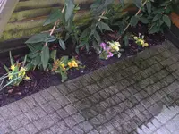 Garten 042.webp