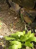 SANY01401.webp