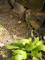 SANY02401.webp