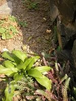 SANY01397.webp