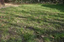 IMG_2738.webp