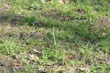 IMG_2739.webp