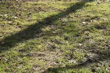 IMG_2740.webp