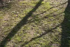 IMG_2741.webp