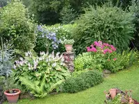 (20).webp