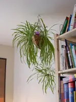 DSCN0404.webp