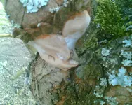 Bild020.webp