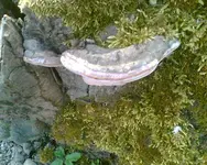 Bild021.webp