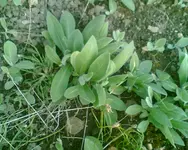 Bild025.webp