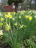 Garten 09 002.webp