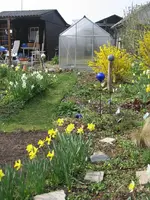 Garten 09 011.webp