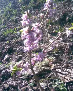 Bild072.webp