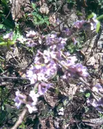 Bild073.webp