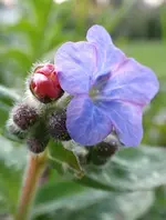 2.webp